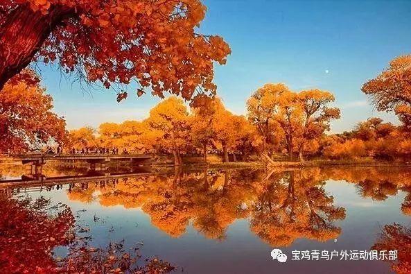 iPhone开放第三方应用商店，iOS还独特吗？